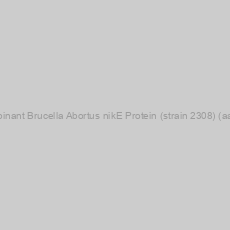Image of Recombinant Brucella Abortus nikE Protein (strain 2308) (aa 1-266)